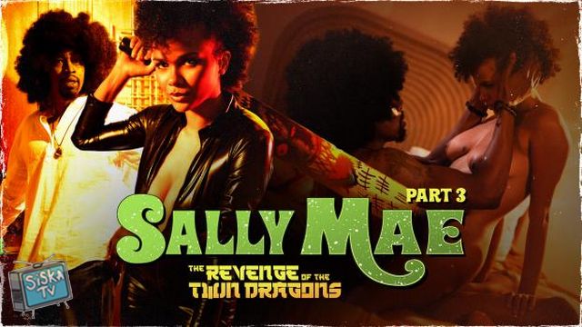 Alina Ali - Sally Mae: The Revenge of the Twin Dragons: Part 3 - SweetSweetSallyMae