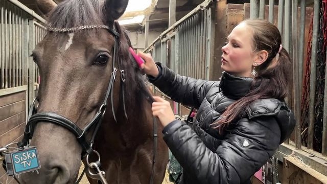 Sasha - Sasha, 22 years old, horse riding expert!